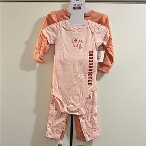 Carter's Pink and Orange Love Bug Baby Set 18m